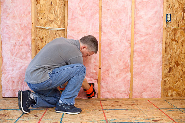 Best Insulation Installation Services in Black Creek, WI